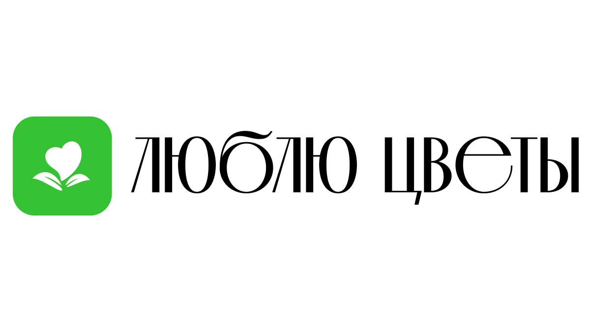 Доставка цветов - Шымкент | Купить цветы и букеты - Недорого -  Круглосуточно | Заказ на дом от интернет-магазина «Люблю цветы»